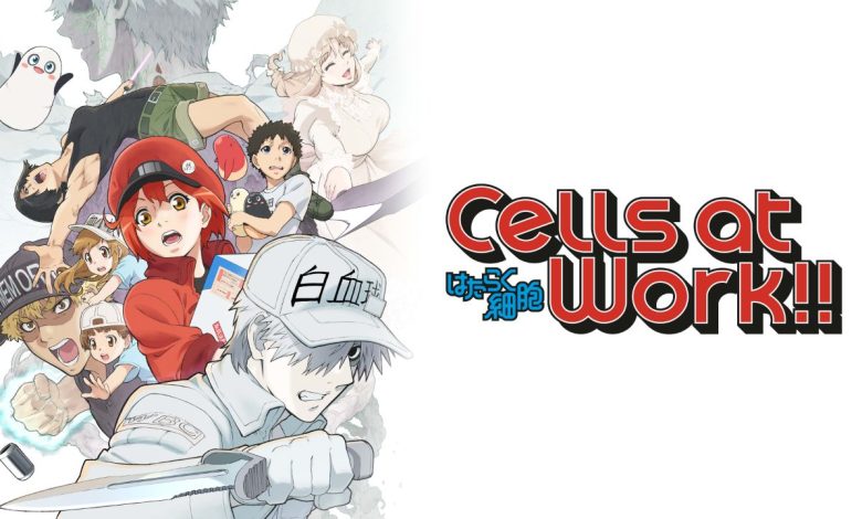 Cells At Work! Season 1 Hindi Dubbed